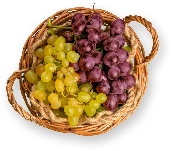 Capa Canasta uvas