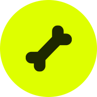 Ico-Hueso